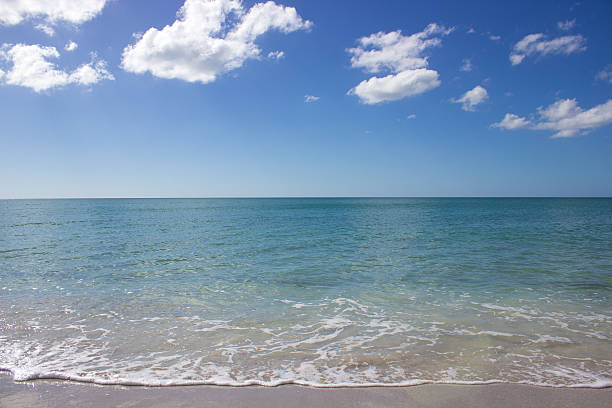 istock Beautiful Beach on Sunny Day 636884028