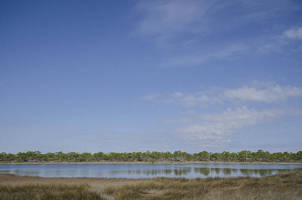 istock St. George Island, Florida 636884176