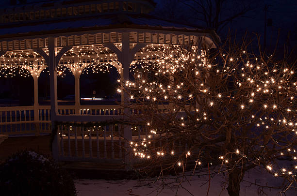 istock holiday night lights gazebo and bush 636887100