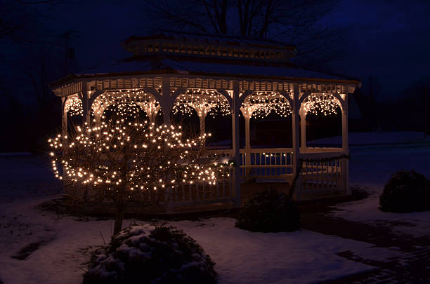 istock night Christmas lights outdoors gazebo bush 636887556