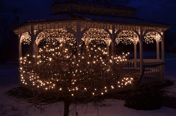 istock night lights Christmas outdoor decorations bush gazebo 636887722