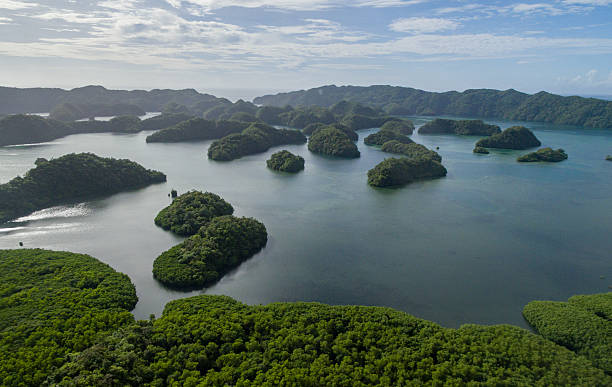 île de koror aux palaos. archipel, partie de la région de micronésie - micronesia lagoon palau aerial view photos et images de collection