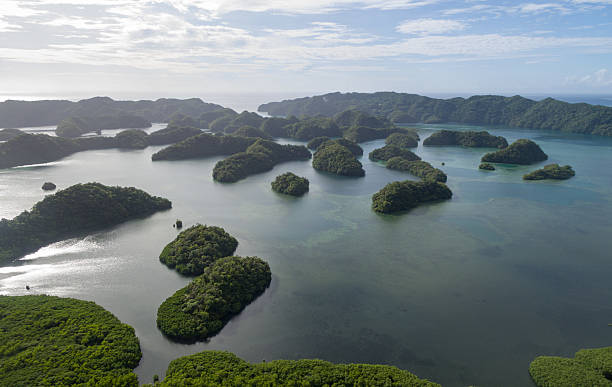 koror island in palau. archipelago, part of micronesia region - micronesia lagoon palau aerial view imagens e fotografias de stock