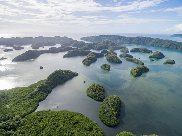 koror island in palau. archipelago, part of micronesia region - micronesia lagoon palau aerial view imagens e fotografias de stock