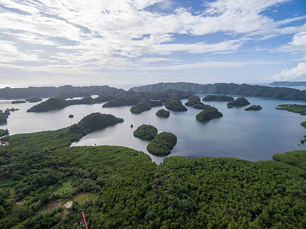 koror island in palau. archipelago, part of micronesia region - micronesia lagoon palau aerial view imagens e fotografias de stock