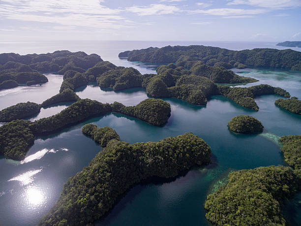 koror island in palau. archipelago, part of micronesia region - micronesia lagoon palau aerial view imagens e fotografias de stock