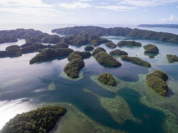 île de koror aux palaos. archipel, partie de la région de micronésie - micronesia lagoon palau aerial view photos et images de collection