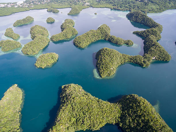 île de koror aux palaos. archipel, partie de la région de micronésie - micronesia lagoon palau aerial view photos et images de collection