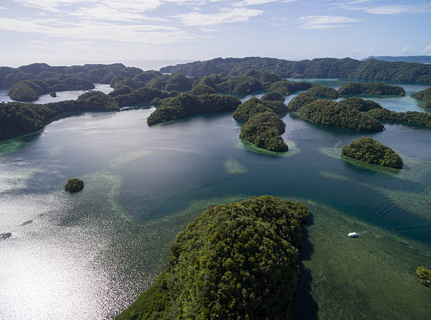 isla koror en palaos. archipiélago, parte de la región de micronesia - micronesia lagoon palau aerial view fotografías e imágenes de stock