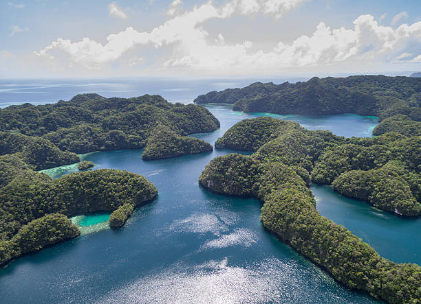 île de koror aux palaos. archipel, partie de la région de micronésie - micronesia lagoon palau aerial view photos et images de collection