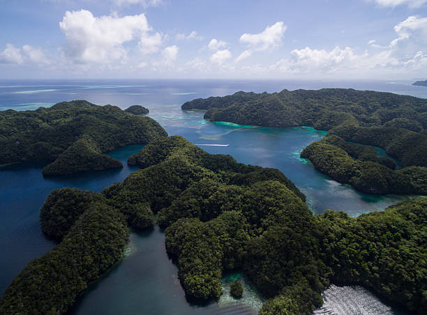 isla koror en palaos. archipiélago, parte de la región de micronesia - micronesia lagoon palau aerial view fotografías e imágenes de stock