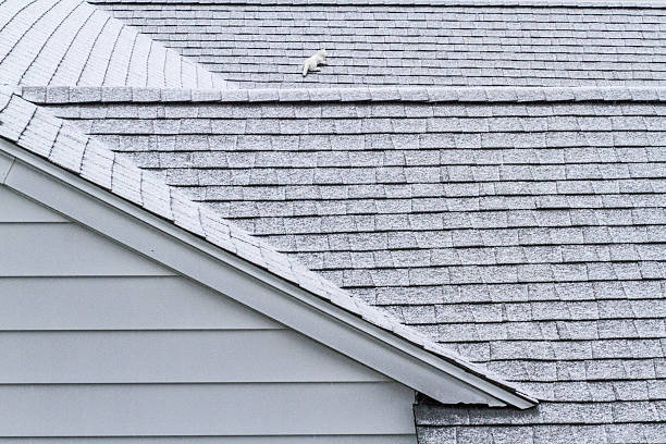 istock Ceramic cat on snowy roof top 636889016