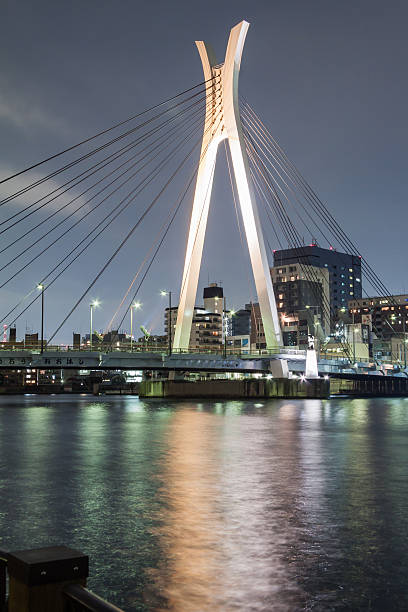 istock Japan Night view of the bridge 636889096