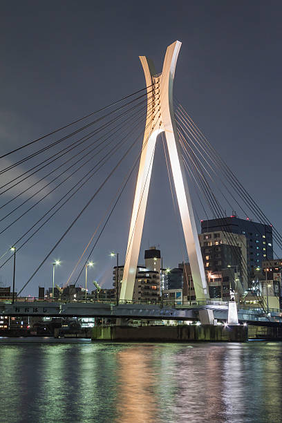 istock Japan Night view of the bridge 636889128