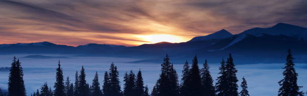 vue panoramique de paysage d'hiver - winter sunset sunrise forest photos et images de collection