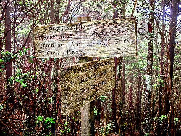 istock scenes along appalachian trail in great smoky mountains 636891004