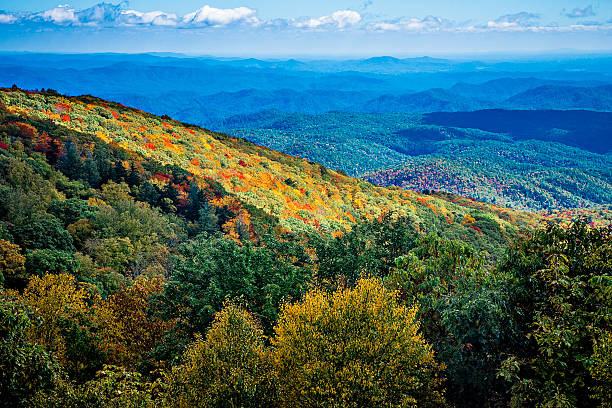 istock Blue Ridge Mountains and Blue Ridge Parkway 636891656