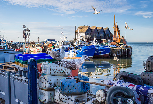 Whitstable, UK - December 14, 2016:  Whitstable harbour, Kent. The main types of white fish that are now caught out of Whitstable harbour are sole, skate and bass. Other local specialities include cockles and whelks.