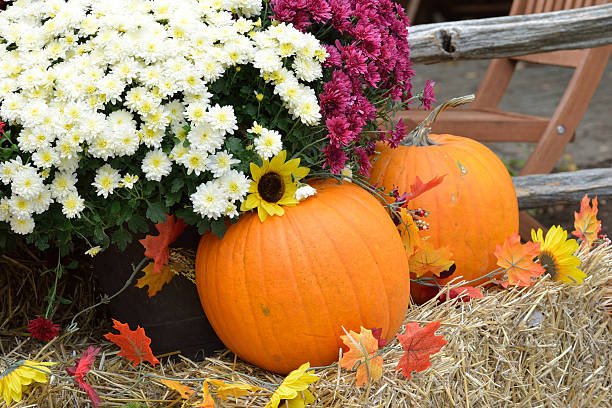 istock Seasonal decoration in Autumn 636898226