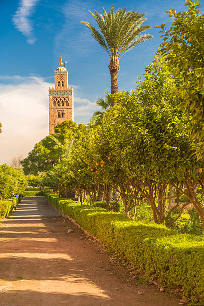 The Koutoubia Mosque from Park Lalla Hasna, Marrakesh, Morocco