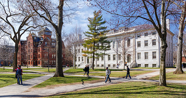 гарвардский кампус весной - harvard university стоковые фото и изображения