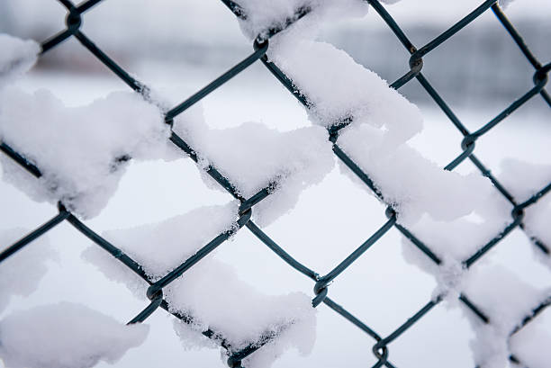 istock snow on the chainlink fence - winter 636900052