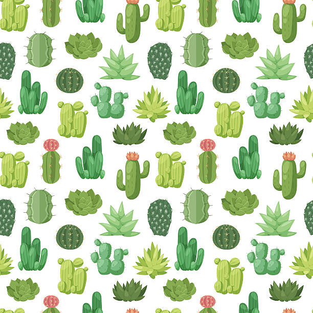 illustrazioni stock, clip art, cartoni animati e icone di tendenza di cactus doodle vettore modello senza soluzione di continuità. - flower desert single flower cactus