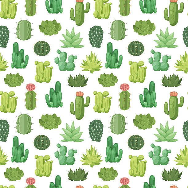 선인장 낙서 원활한 패턴 벡터. - flower desert single flower cactus stock illustrations