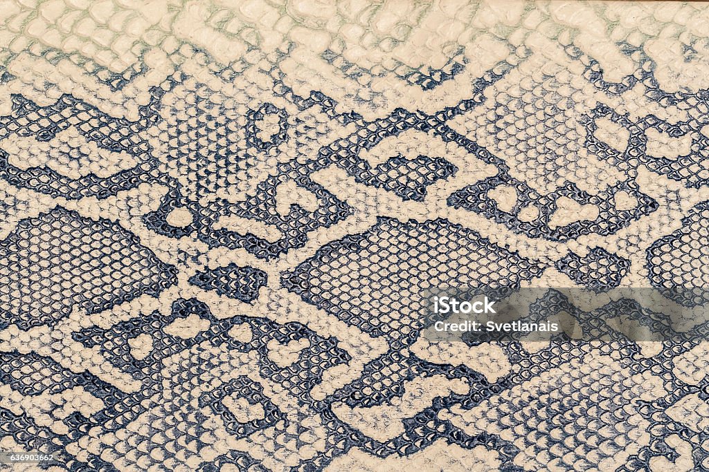 Textur aus echtem Leder Nahaufnahme, unter der Haut geprägt - Lizenzfrei Schlange - Kriechtier Stock-Foto