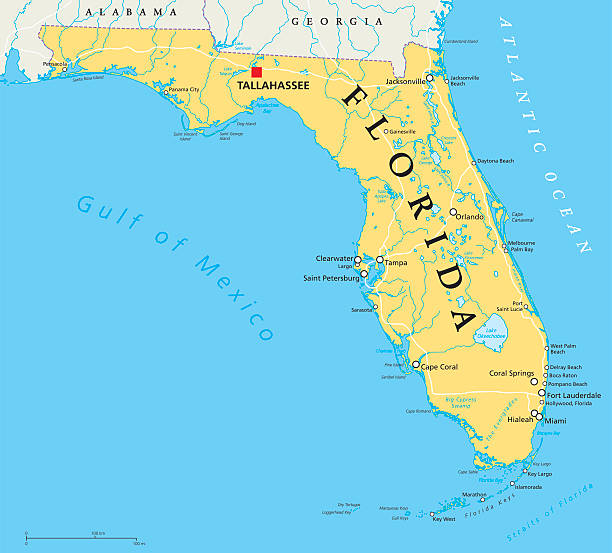 Florida political map Florida political map with capital Tallahassee, borders, important places, rivers and lakes. State, located in the southeastern region of the United States. Illustration with English labeling. Vector. clearwater florida stock illustrations