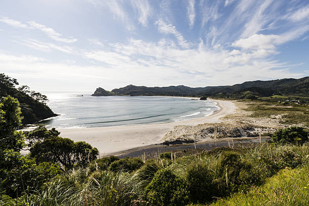 istock Medlands Beach, Great Barrier Island, NZ 636905952