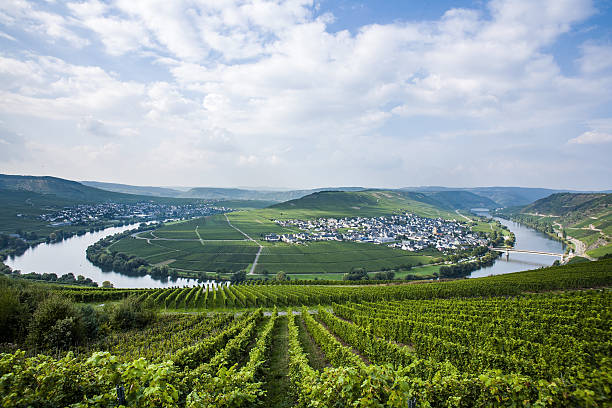 istock Famous Moselle river loop in Trittenheim, Germany 636906460