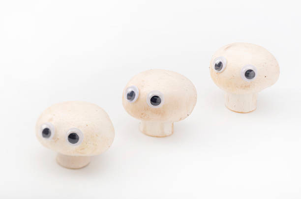 istock Mushroom,eyeball, look around restlessly 636909216