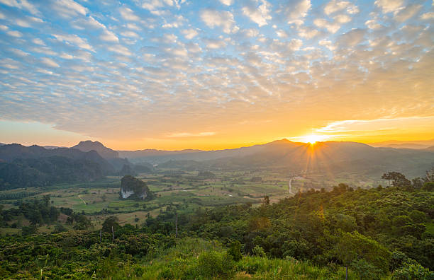 parc national de phu lung ka de la province de phayao en thaïlande. - dawn valley star morning photos et images de collection
