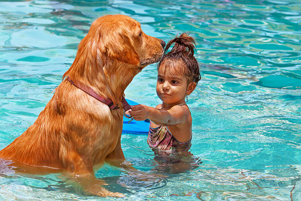 Funny photo of little baby swimming in outdoor pool, playing with retriever puppy. Children water sports activity and swimming lessons, training dogs, fun games with family pet on summer vacation.