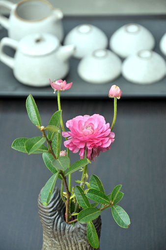 Flower and Chinese teapot