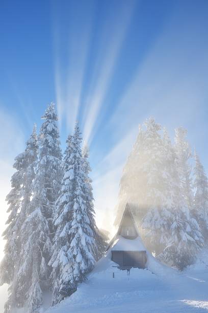 Grouse Mountain with fresh snow and misty sun rays in the morning