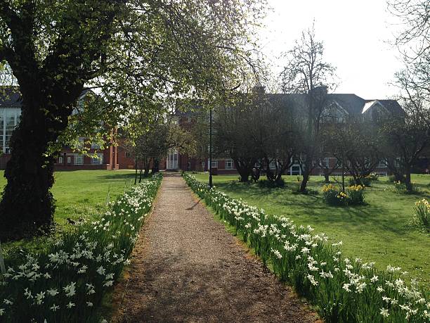istock Beautiful garden path in Cambridge, England 636920852