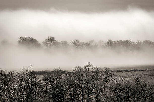 istock fog on the Larzac in black and white 636927588