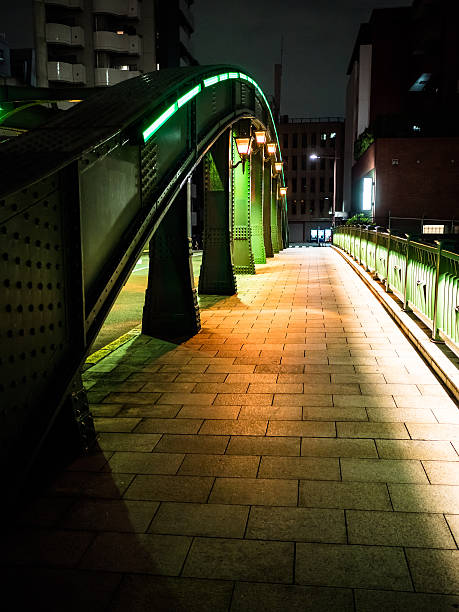 istock Japan Night view of the bridge 636929242