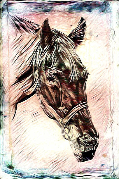 istock Freehand horse illustration painting 636931586