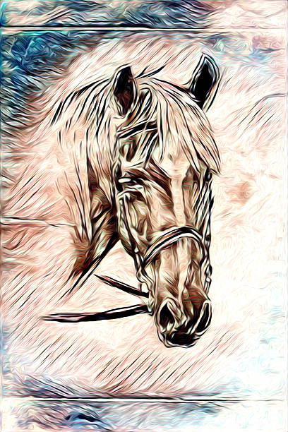 istock Freehand horse illustration painting 636931684