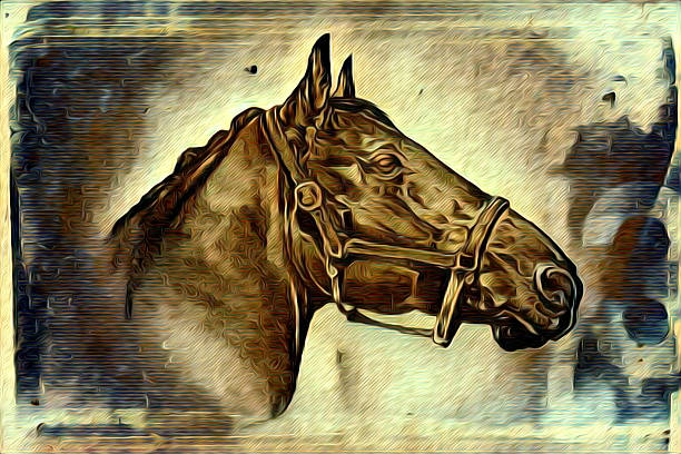 istock Freehand horse illustration painting 636932214