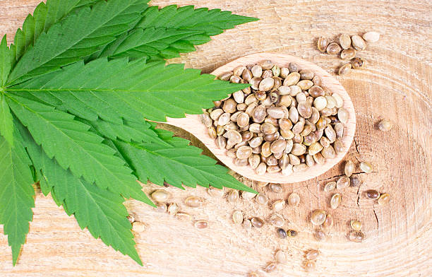 istock Cannabis leaf and seeds on wooden table. Close Up. 636935040