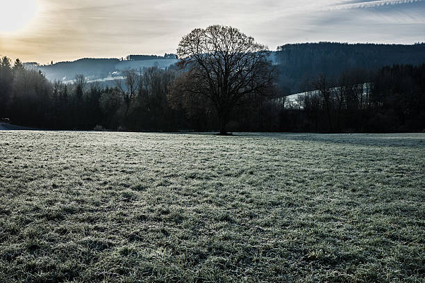 istock Kammerhof in winter 636939272