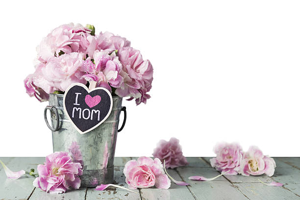 conceito de dia das mães - flower head bouquet built structure carnation imagens e fotografias de stock