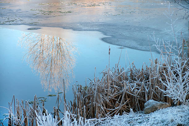 Half-frozen lake with reflection stock photo