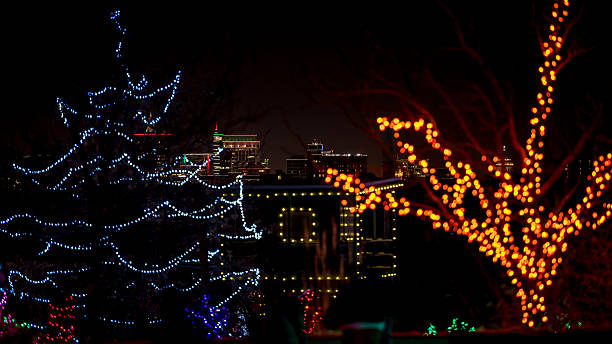istock Christmas lights and Bosie Idaho skyline at night 636947178