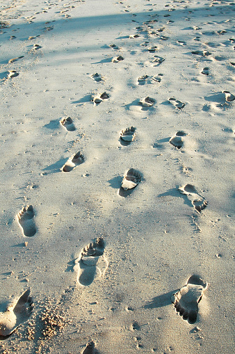 Footprints in the sand, Brazil, South America.