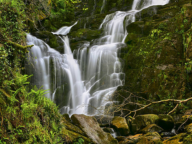 istock Torc waterfall in Killarney National Park, Ireland 636952692